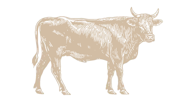 Grass-Fed Beef Tallow