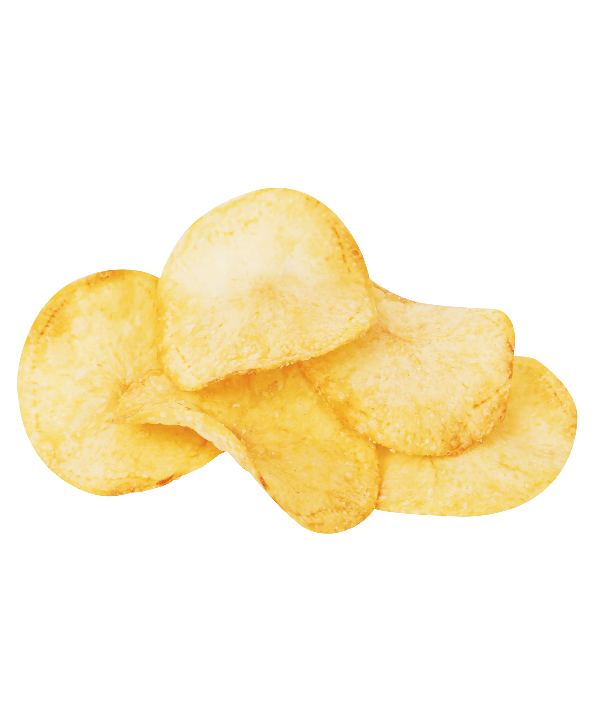 Stella & Milo's Kettle-cooked Tallow Potato Chips pile of five chips